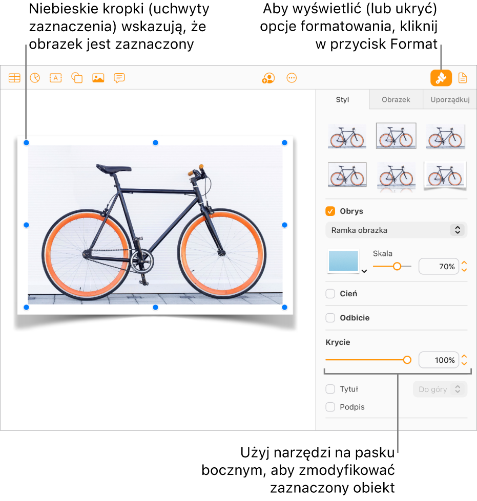W dokumencie zaznaczony jest obrazek, a na pasku bocznym (po prawej stronie) wyświetlane są narzędzia do zmiany jego wyglądu (na przykład pola wyboru obramowania i cienia).