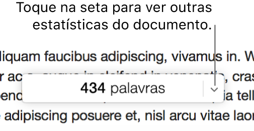 O menu pop-up de estatísticas do documento que mostra a contagem de palavras.