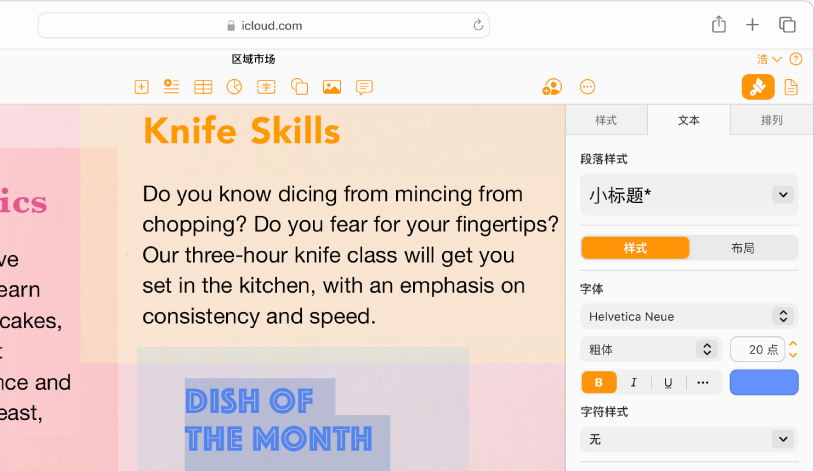 选中了部分文本的文稿。右侧“格式”边栏中显示更改选中文本的字体、颜色、大小和更多属性的选项。