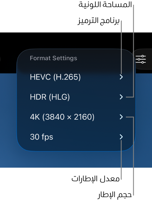 قائمة إعدادات التنسيق تظهر، من الأعلى إلى الأسفل، إعدادات الترميز والمساحة اللونية وحجم الإطار ومعدل الإطارات.