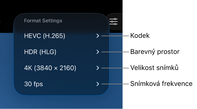 Nabídka Nastavení formátu zobrazjící shora dolů nastavení kodeku, barevného prostoru, velikosti snímku a snímkové frekvence.