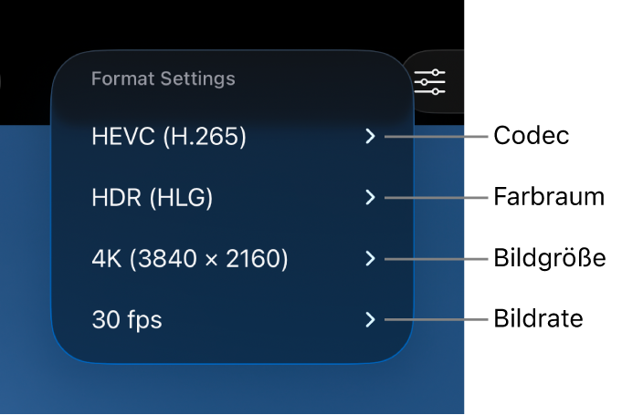 Das Menü „Formateinstellungen“ mit den Einstellungen (von oben nach unten) für Codec, Farbraum, Bildgröße und Bildrate.