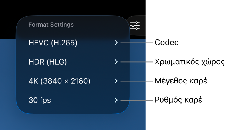 Το μενού «Ρυθμίσεις μορφής» εμφανίζει, από πάνω προς τα κάτω, τις ρυθμίσεις codec, χρωματικού χώρου, μεγέθους καρέ και ρυθμού καρέ.