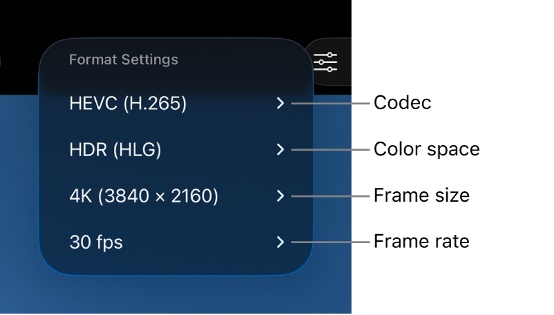 The Format Settings menu showing, from top to bottom, codec, color space, frame size, and frame rate settings.