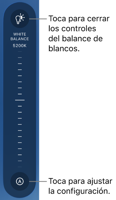 El dial de balance de blancos, con el botón Automático en la parte inferior.