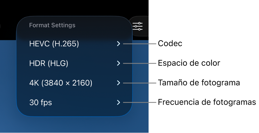 El menú “Ajustes de formato” muestra, de arriba abajo, los ajustes de códec, espacio de color, tamaño de fotograma y frecuencia de fotograma.