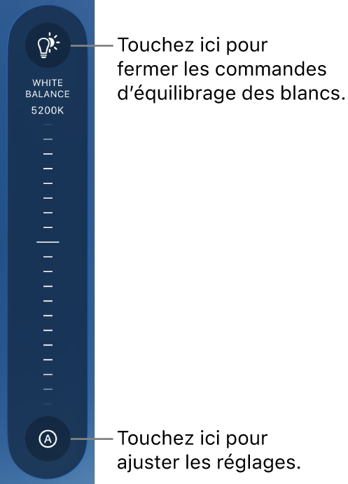 La molette d’équilibrage des blancs, avec un bouton Auto. en bas