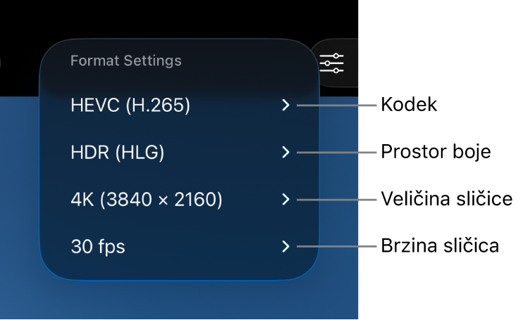 Izbornik Postavke formata koji prikazuje, od vrha prema dnu, postavke kodeka, prostora boja, veličine sličice i brzine sličica.