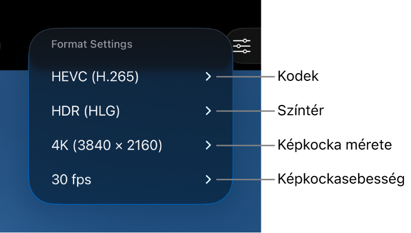 A Formázási beállítások menü, amely felülről lefelé a következő beállításokat mutatja: kodek, színtér, képkockaméret és képkockasebesség-beállítások.