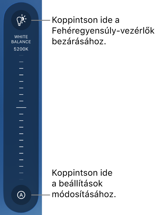 A fehéregyensúly-tárcsa, alul egy Automatikus gombbal.