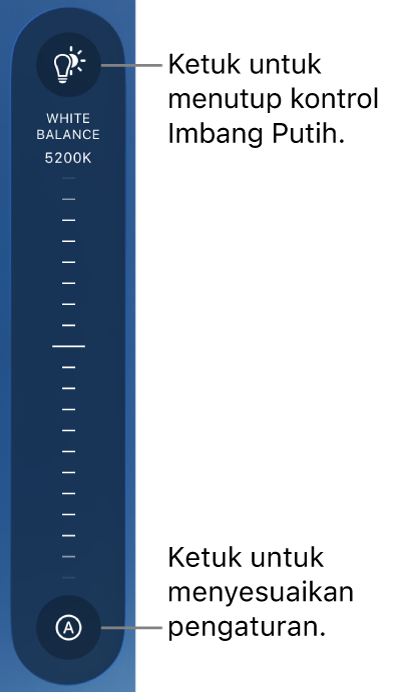 Dial Imbang Putih, dengan tombol Otomatis di bagian bawah.