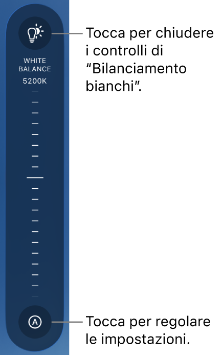 La manopola del bilanciamento del bianco, con il pulsante Automatico in basso.