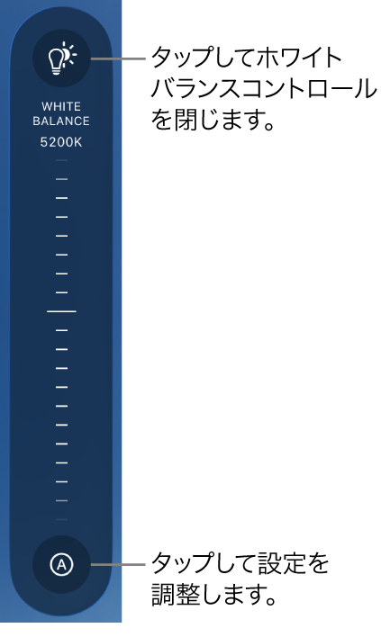 「ホワイトバランス」ダイヤル。下部に「自動」ボタンがあります。