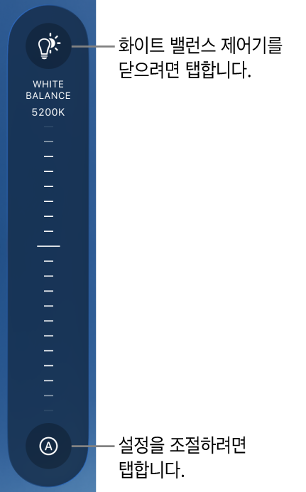 하단에 자동 버튼이 있는 화이트 밸런스 다이얼
