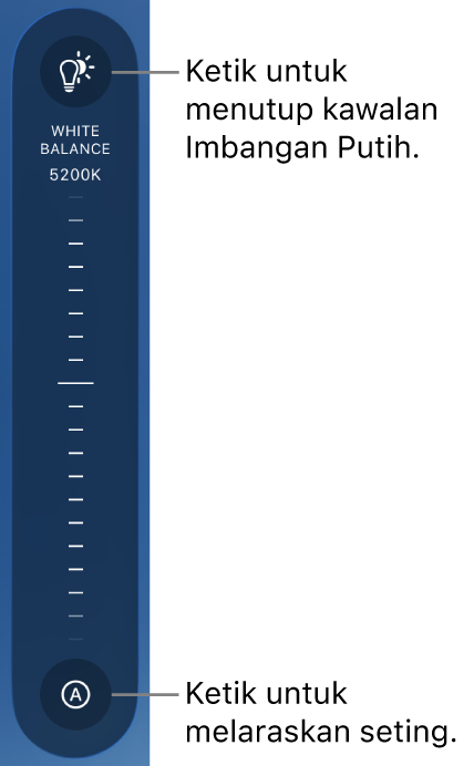 Dail Imbangan Putih, dengan butang Auto di bahagian bawah.