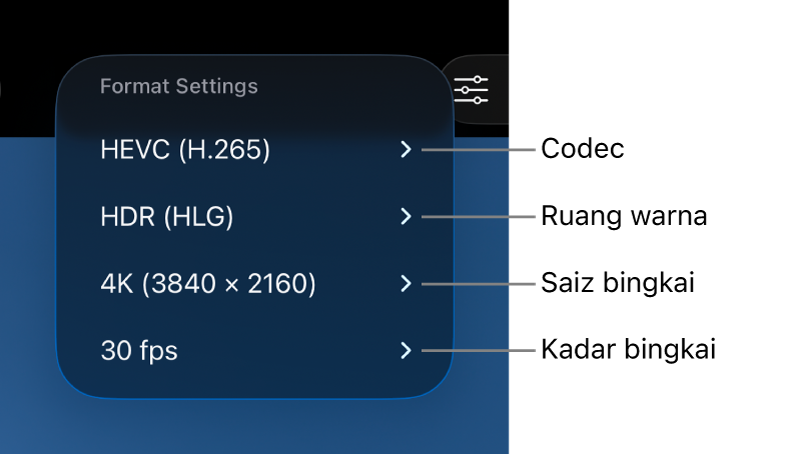 Menu Seting Format menunjukkan, dari atas ke bawah, seting codec, ruang warna, saiz bingkai dan kadar bingkai.