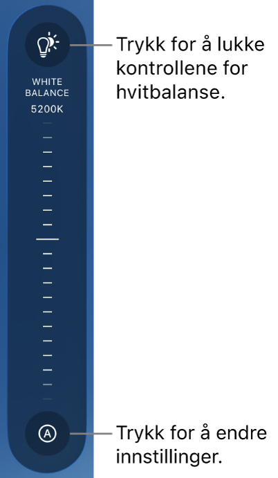 Hvitbalanse-hjulet, med en Auto-knapp nederst.