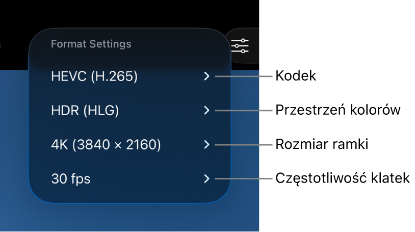 Menu Ustawienia formatu, pokazujące od góry do dołu ustawienia kodeka, przestrzeni kolorów oraz wielkości i częstotliwości klatek.