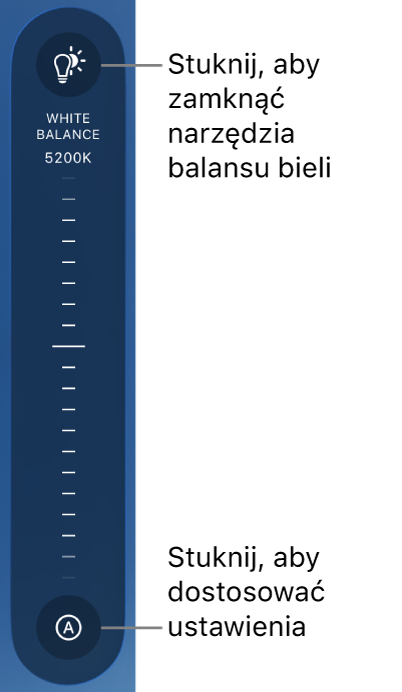 Pokrętło balansu bieli z przyciskiem Autom. na dole.