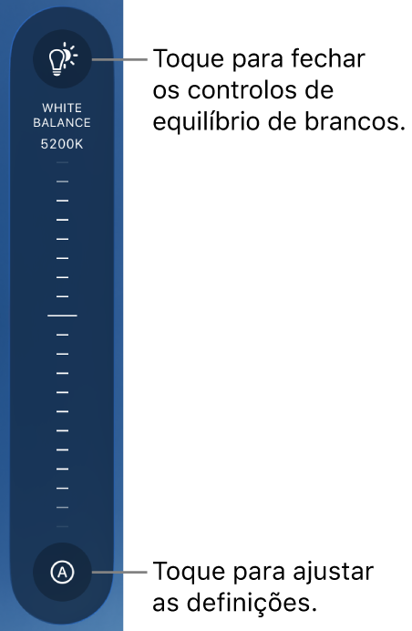O controlo de equilíbrio de brancos, com um botão Automático na parte inferior.