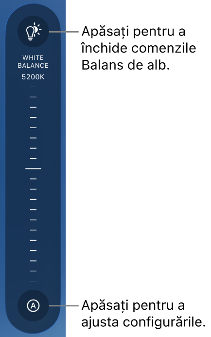 Selectorul „Balans de alb”, cu un buton Auto în partea de jos.