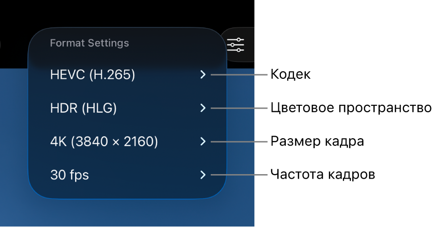 В меню «Настройки формата» отображаются сверху вниз: настройки кодека, цветового пространства, размера кадра и частоты кадров.