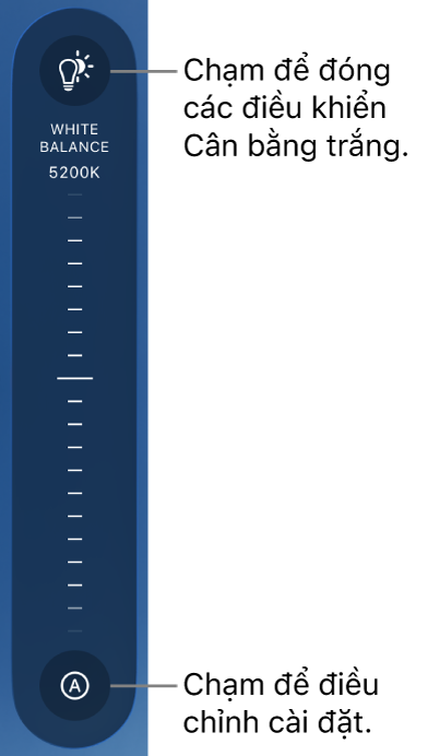 Thước chia độ Cân bằng Trắng, với nút Tự động ở dưới cùng.