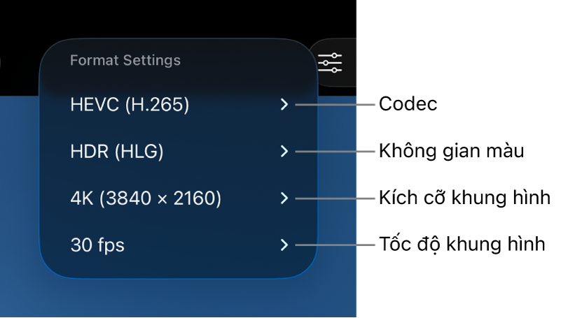 Menu Cài đặt Định dạng đang hiển thị các cài đặt codec, không gian màu, kích cỡ khung hình và tốc độ khung hình theo thứ tự từ trên xuống dưới.