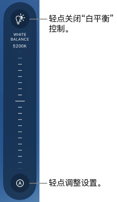 “白平衡”标度盘的底部为“自动”按钮。