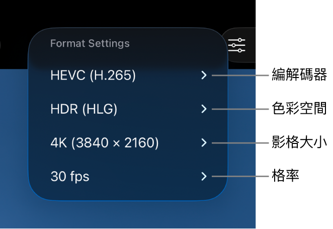 「格式設定」選單，從上到下分別顯示編解碼器、色彩空間、影格大小和格率設定。