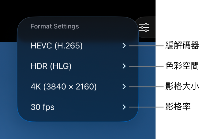 「格式設定」選單顯示，從上到下為編解碼器、色彩空間、影格大小和影格率設定。
