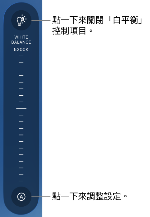「白平衡」旋鈕，底部有「自動」按鈕。