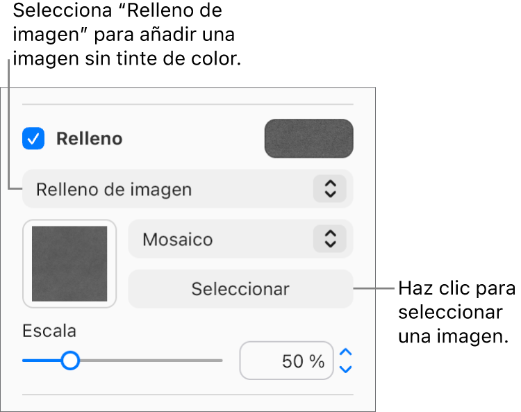 La casilla Relleno está seleccionada en la barra lateral, y “Relleno de imagen” aparece en el menú emergente debajo de la casilla. Los controles para elegir una imagen, su escala y cómo rellena el objeto aparecen debajo del menú emergente. Aparece una previsualización de la imagen en el cuadrado (después de que se seleccione una imagen).