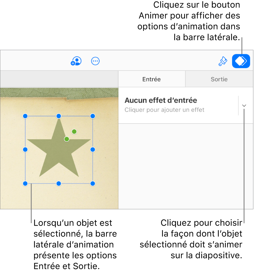 Un objet est sélectionné sur la diapositive, le bouton Animer est sélectionné dans la barre d’outils et « Aucun effet de composition de sortie » s’affiche dans le menu local Entrée de la barre latérale.