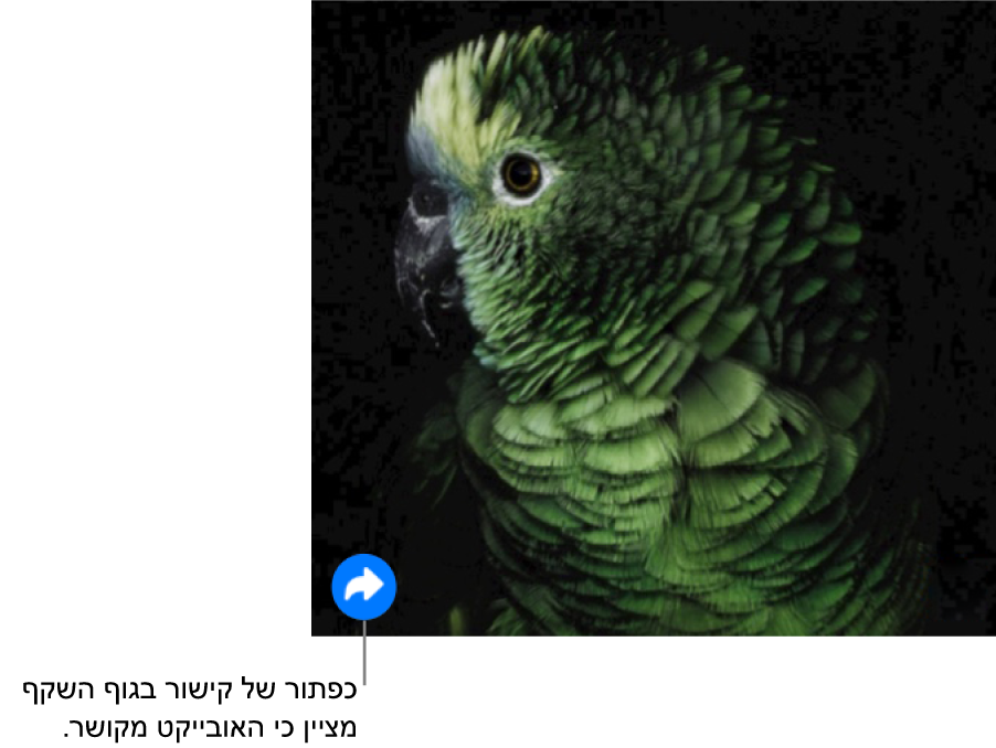 תמונה על קנבס של שקף עם כפתור של קישור (נראה כמו חץ מעוקל) למטה בצד.