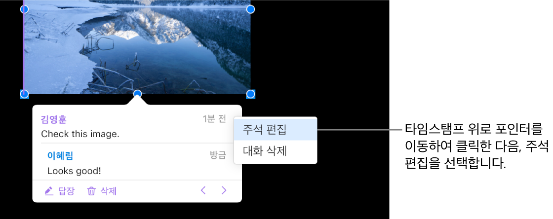 주석이 열려 있고, 포인터가 상단의 타임 스탬프 위에 있는 경우, 팝업 메뉴에 다음 두 가지 옵션이 나타납니다. 대화 삭제 및 주석 편집.