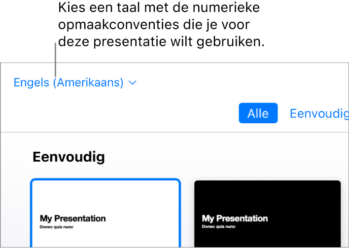Het pop‑upmenu linksboven in de themakiezer waarin 'Engels (Verenigde Staten)' is geselecteerd.