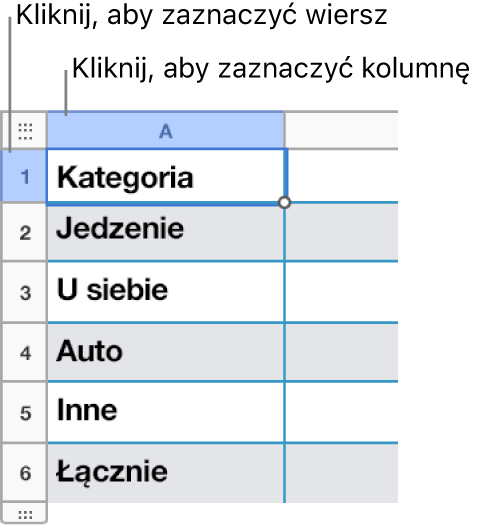 Zaznaczony wiersz tabeli z opisami sposobu zaznaczania wierszy i kolumn.