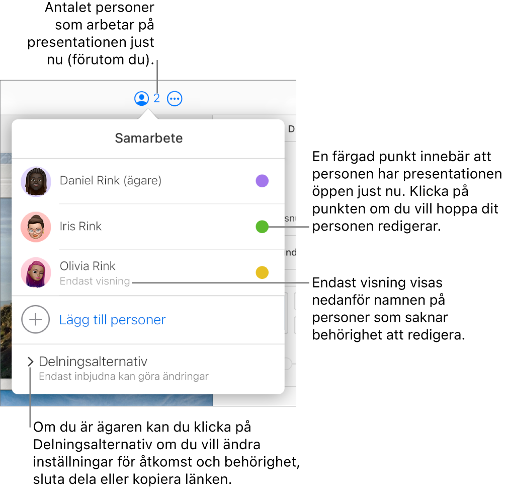 Menyn Samarbete är öppen med en lista med tre deltagare (en med åtkomstbehörigheten Endast visning), alternativet Lägg till personer och avsnittet Delningsalternativ.