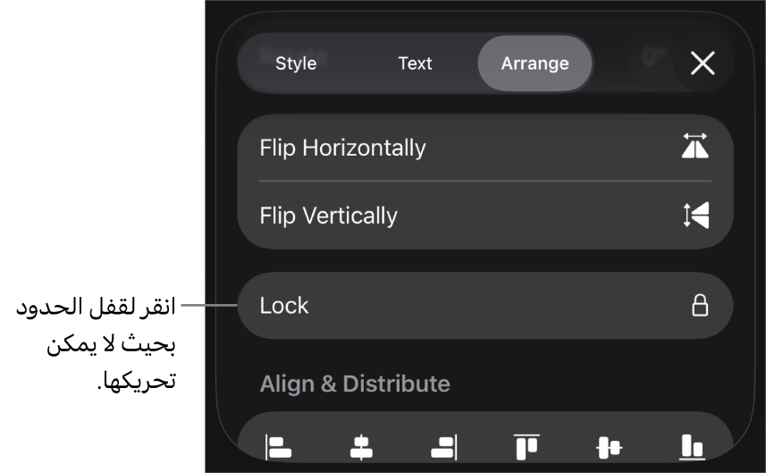 عناصر التحكم في الترتيب في قائمة التنسيق مع وضع وسيلة شرح على زر القفل.