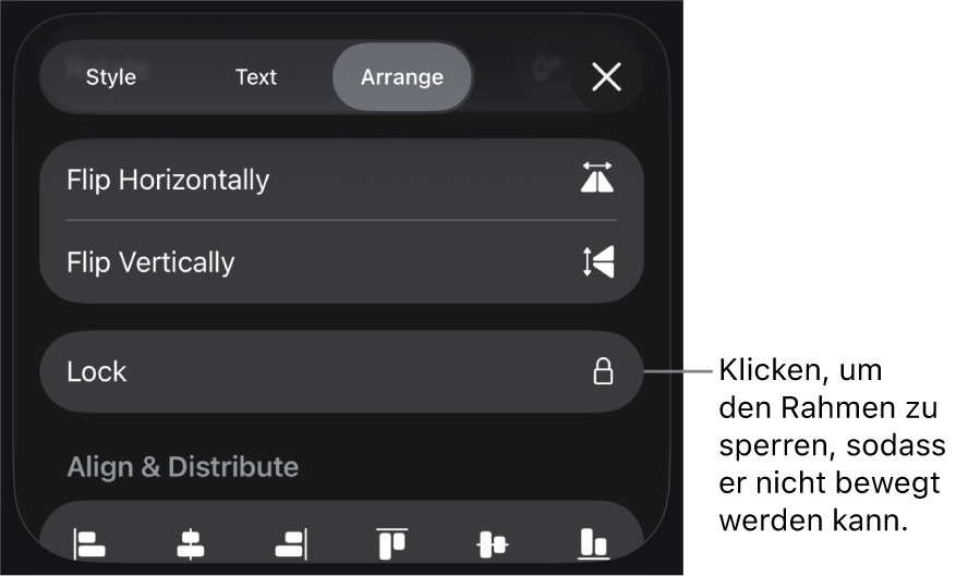 Die Steuerelemente „Anordnen“ im Menü „Format“ und die Taste „Schützen“ ist markiert
