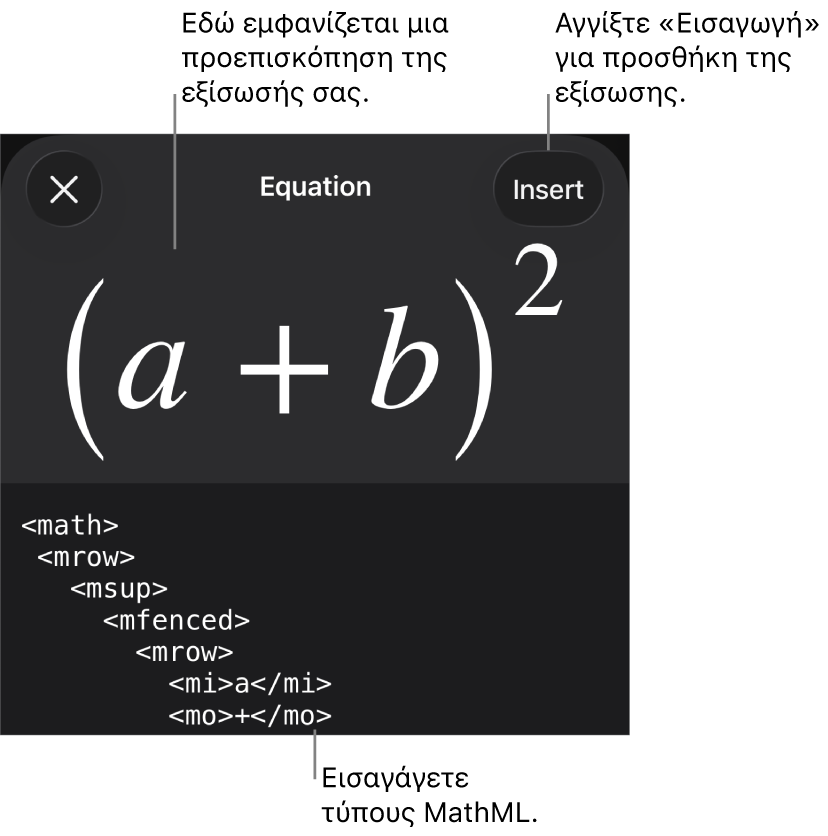 Το πλαίσιο διαλόγου «Εξίσωση», στο οποίο εμφανίζεται μια εξίσωση που έχει γραφεί με χρήση εντολών MathML και μια προεπισκόπηση του τύπου από πάνω.