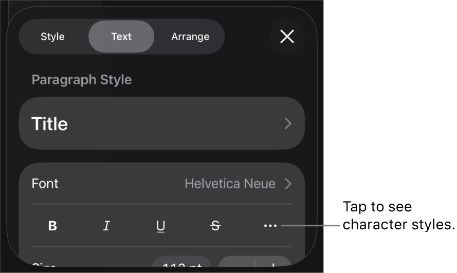 The Format controls with paragraph styles at the top, then Font controls. Below Font are the Bold, Italic, Underline, Strikethrough and More Text Options buttons.