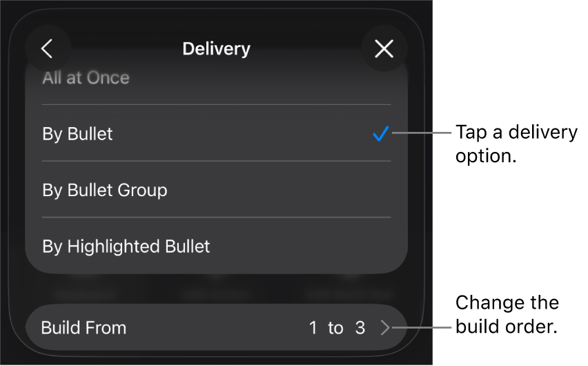 Delivery options in the Build In pane.