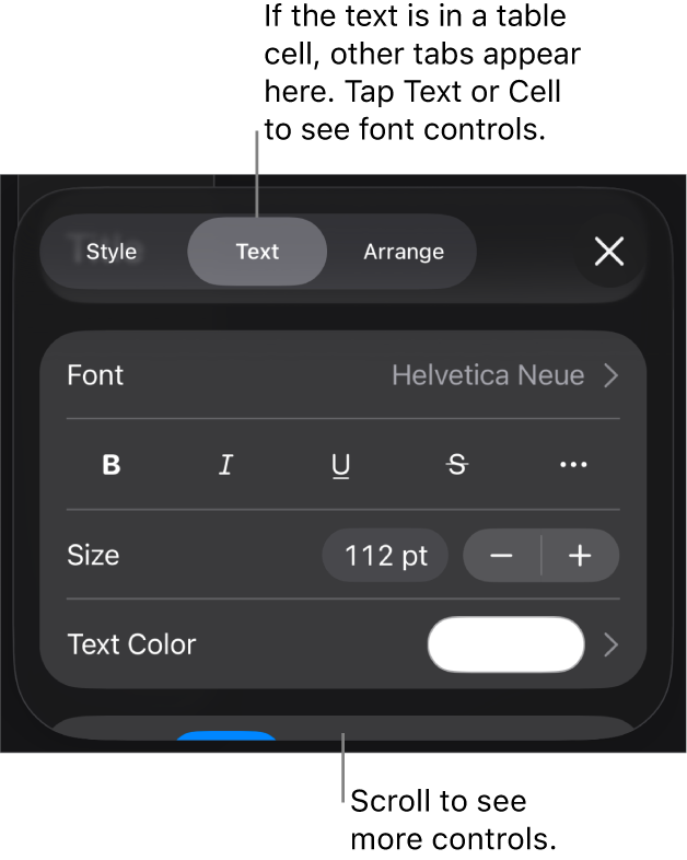 Text controls in the Format menu for setting paragraph and character styles, font, size, and color.