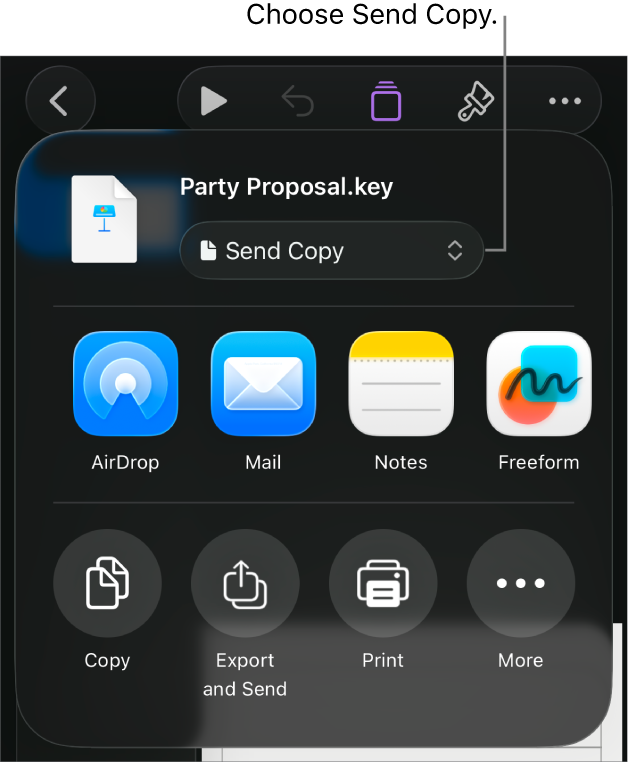 The Share menu with Send Copy selected at the top.