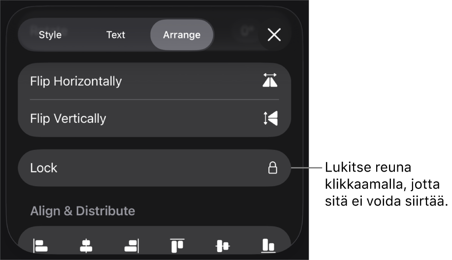 Järjestä-säätimet Muoto-valikossa, ja Lukitse-painike näkyy korostettuna.