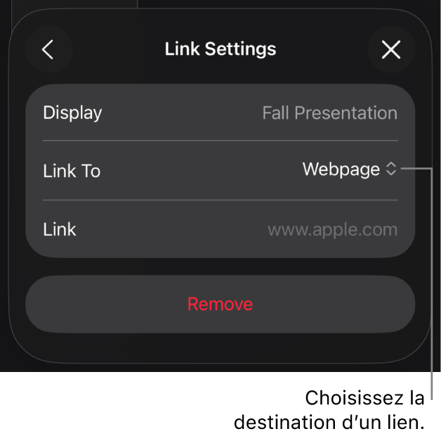 Les commandes Réglages du lien avec l’option Page Web sélectionnée au-dessus du bouton Supprimer.