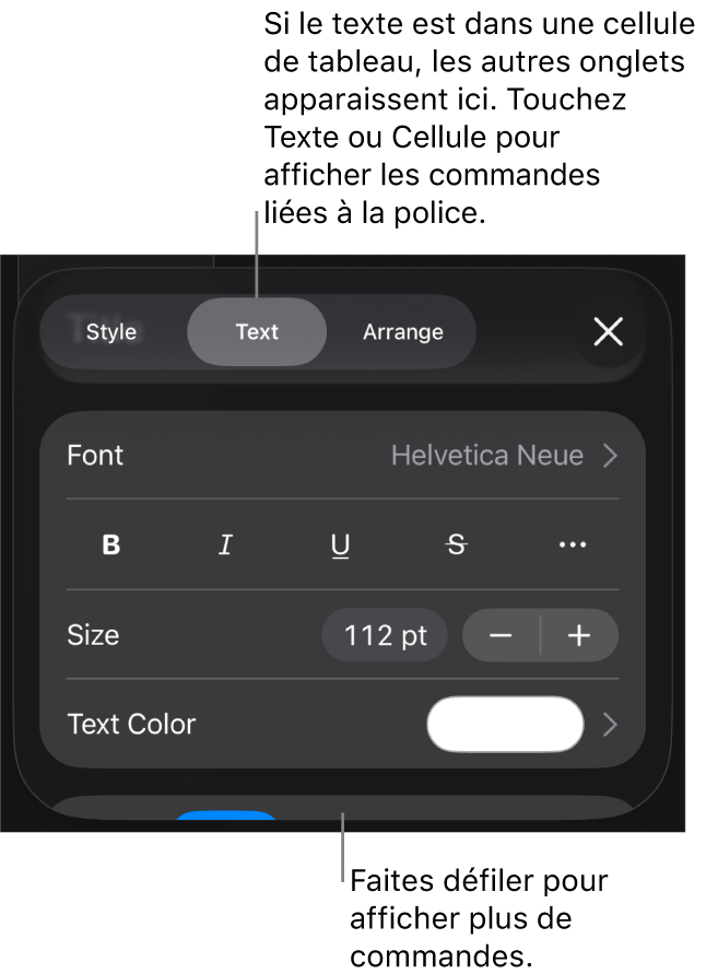 Commandes de texte du menu de format permettant de définir les styles, la police, la taille et la couleur des paragraphes et des caractères.