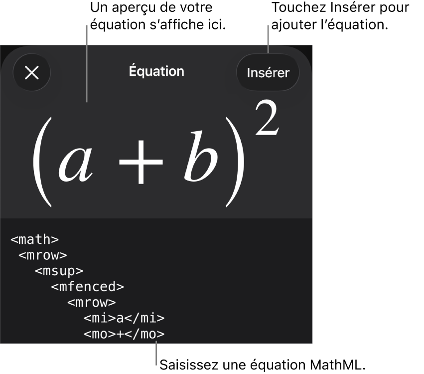 Zone de dialogue Équation, affichant une équation composée à l’aide des commandes MathML, et un aperçu de la formule au-dessus.